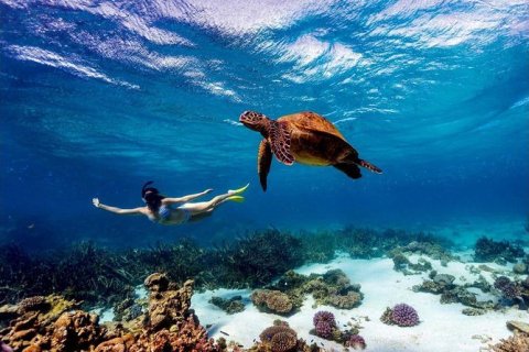 Malindi and Watamu Marine Park