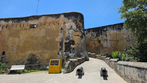Mombasa city and coast holiday