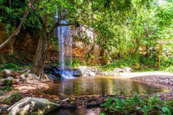 Shimba Hills National Park day trip